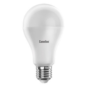 Camelion лампа A65 LED20-/865/E27 Basic/ULTRA   10/100 оптом