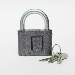 Замок навесной ВС1.02 "Зенит" г.Димитровград оптом Замок навесной ВС1.02 "Зенит" г.Димитровград оптом